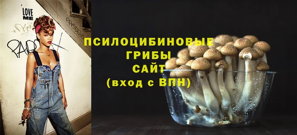 ешки Бородино