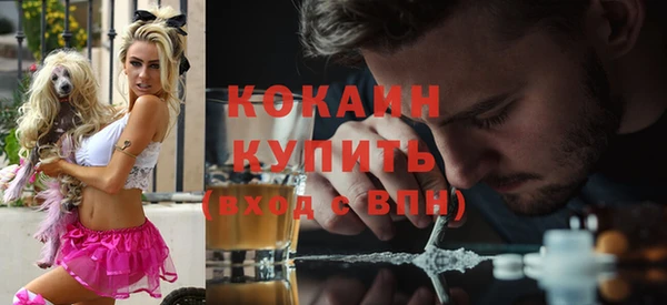 МДПВ Бронницы