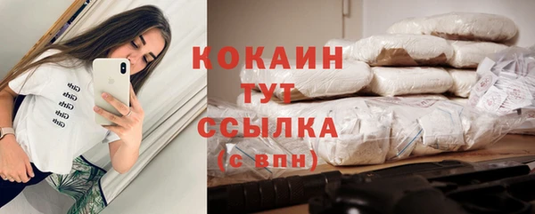твердый Сосновка