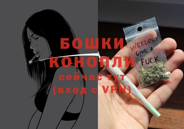 МДПВ Бронницы