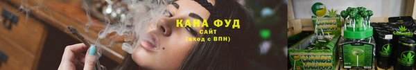 ешки Бородино
