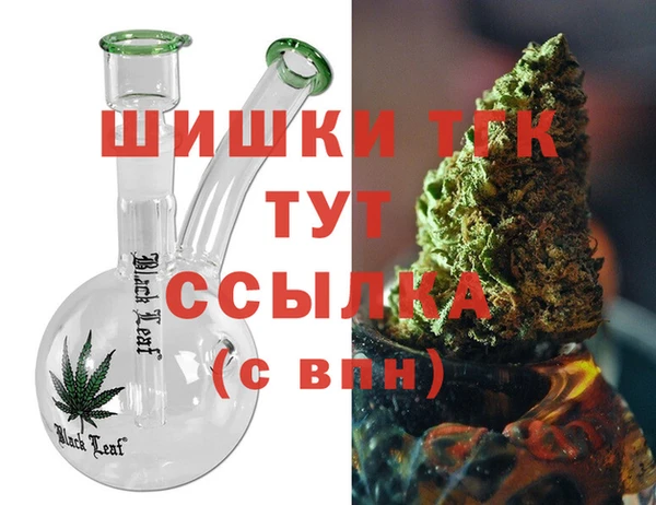 ешки Бородино