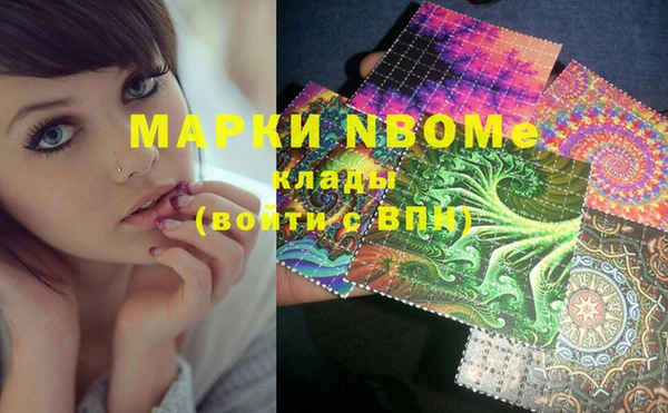 ешки Бородино