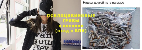 МДПВ Бронницы