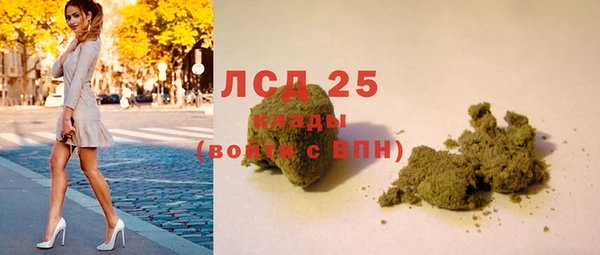 ешки Бородино