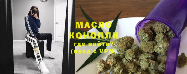 ешки Бородино
