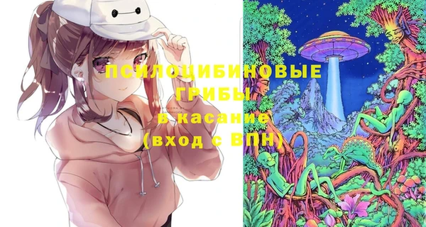 ешки Бородино