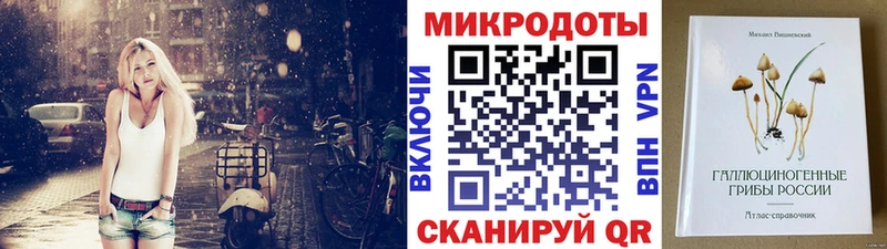 Псилоцибиновые грибы Psilocybine cubensis  Тогучин 